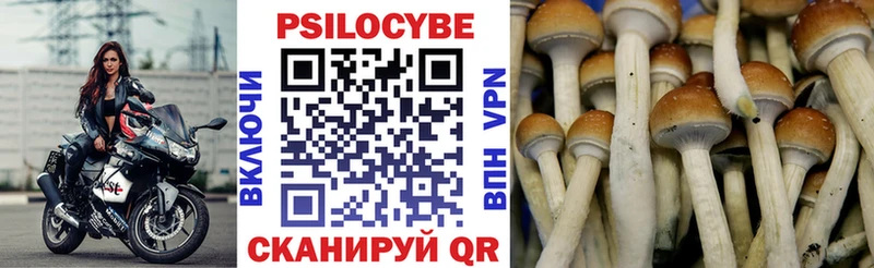 blacksprut tor Пустошка Галлюциногенные грибы Magic Shrooms