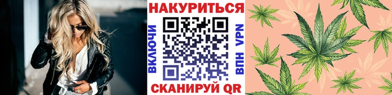 darknet какой сайт  mega онион  Пустошка  Бошки Шишки семена 